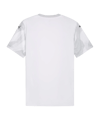 PUMA teamFINAL Graphic Trikot Weiß F04 - weiss