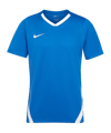 Nike Team Spike Trikot Blau F463