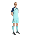 adidas DFB Deutschland Prematch Trikot Away WM 2026 Türkis - tuerkis