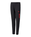 PUMA individualCUP Trainingshose Kids Schwarz F43 - schwarz