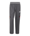 adidas DBB Deutschland Warm Up Hose Grau - grau