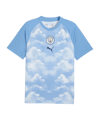 PUMA Manchester City Warm Up Trikot Blau F15 - blau