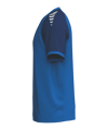 Erima WINGS Trikot Blau F3132602 - blau
