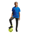 Nike Park VIII Trikot Kids Blau F463