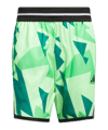 adidas Crazylite AOP 2 Short Grau