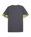 PUMA individualCUP Trikot Grau F08 - grau