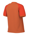 Nike Trophy VI Trikot Damen Orange F819
