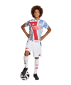 adidas FC Arsenal London Prematch Shirt 2024/2025 Kids Rot - rot