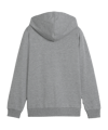 PUMA teamGOAL Casuals Kapuzenjacke Kids Grau F33 - grau