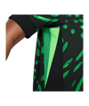 Nike Nigeria Trikot Away 2024 Kids Schwarz F010 - grau