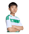 adidas Hooped 26 Trikot Kids Weiß - weiss