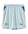 PUMA SFV Schweiz Short Away WM 2026 Blau F02 - blau