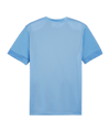 PUMA teamGOAL Matchday Trikot Blau Weiss F18 - blau