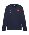 PUMA teamGOAL Training Sweatshirt Blau F06