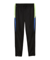 PUMA Trainingshose Schwarz F02 - schwarz