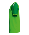 Erima WINGS Trikot Kids Grün F3132606 - gruen