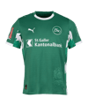 PUMA FC St. Gallen 1879 Trikot Home 2025/2026 Grün F01 - gruen