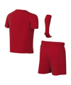 Nike Park VIII Trikot Set Kids Rot F657 - rot