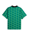 PUMA King Trikot Grün F74 - gruen