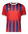 PUMA Trikot Rot Blau F01 Rot Blau F01