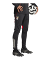 adidas Benfica Lissabon Trainingshose Schwarz - schwarz