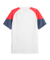 PUMA individualCUP Trikot Weiss F53 - weiss