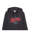 PUMA ÖFB Österreich FtblCulture Hoody Grau F25 - grau