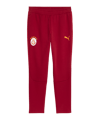 PUMA Galatasaray Istanbul Evostripe Hose Rot F01 - rot