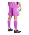 adidas Tiro 24 Short Lila - lila