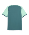 PUMA teamLIGA26 Matchday Trikot Grün F43 - gruen