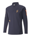 PUMA Neymar Jr. Flare HalfZip Sweatshirt Kids F09 - blau