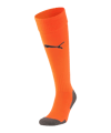 PUMA teamLIGA Core Stutzenstrumpf Rot F45