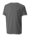 PUMA teamLIGA Trikot Kids Grau F13 - grau