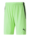 PUMA teamLIGA Short Grün Schwarz F20