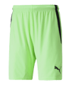 PUMA teamLIGA Short Grün Schwarz F20