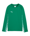 PUMA teamLIGA26 Training Sweatshirt Kids Grün F05