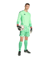 adidas Tiro 26 Torwarttrikot Langarm Grün - gruen