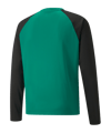 PUMA teamLIGA Trainig Sweatshirt Grün Schwarz F05 - gruen