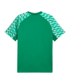 PUMA teamLIGA26 Trikot Grün F05 - gruen