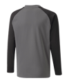 PUMA teamLIGA Sweatshirt Kids Grau F13 - grau