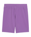 PUMA teamGoal Short Lila F33 - lila