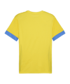 PUMA teamGOAL Matchday Trikot Gelb Blau F17 - gelb