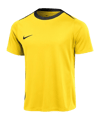 Nike Academy Pro 24 Trainingsshirt Gelb F719