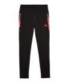 PUMA individualCUP Trainingshose Schwarz F07 - schwarz