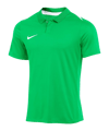Nike Academy Pro 24 Poloshirt Grün F329