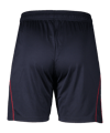 adidas Fortuna Düsseldorf Short 3rd 2025/2026 Blau - blau