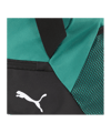 PUMA teamGoal Sporttasche Gr. S Grün F04 - gruen