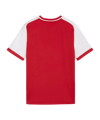 PUMA teamLIGA26 Matchday Trikot Kids Rot F01 - rot