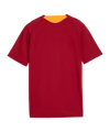 PUMA Galatasaray Istanbul Training Trikot Kids Rot F01 - rot