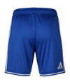 adidas EPO Griechenland Short Home 2026 Blau - blau